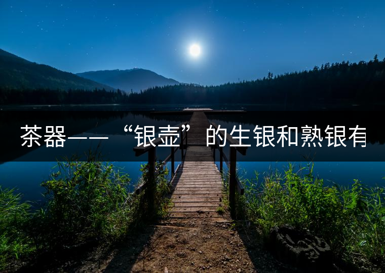 茶器——“銀壺”的生銀和熟銀有什么區(qū)別嗎？