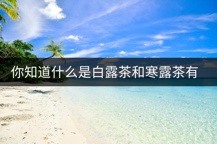 你知道什么是白露茶和寒露茶有區(qū)別嗎？