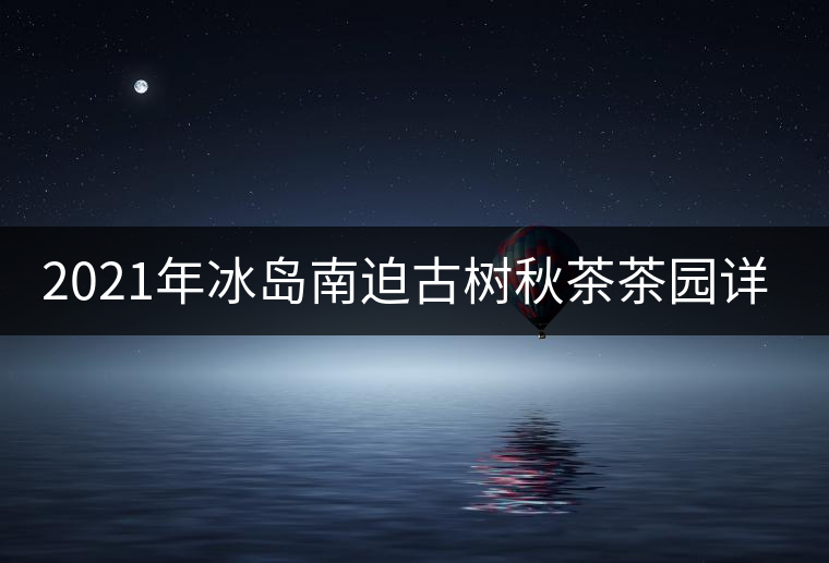 2021年冰島南迫古樹秋茶茶園詳解！