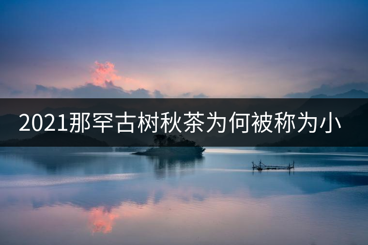 2021那罕古樹秋茶為何被稱為小昔歸？
