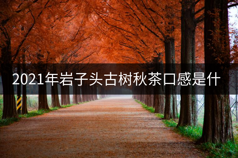 2021年巖子頭古樹秋茶口感是什么？