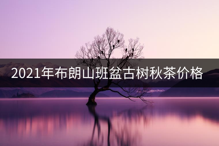 2021年布朗山班盆古樹秋茶價格？