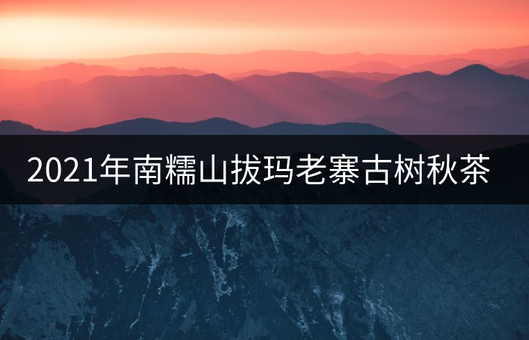 2021年南糯山拔瑪老寨古樹秋茶價格？