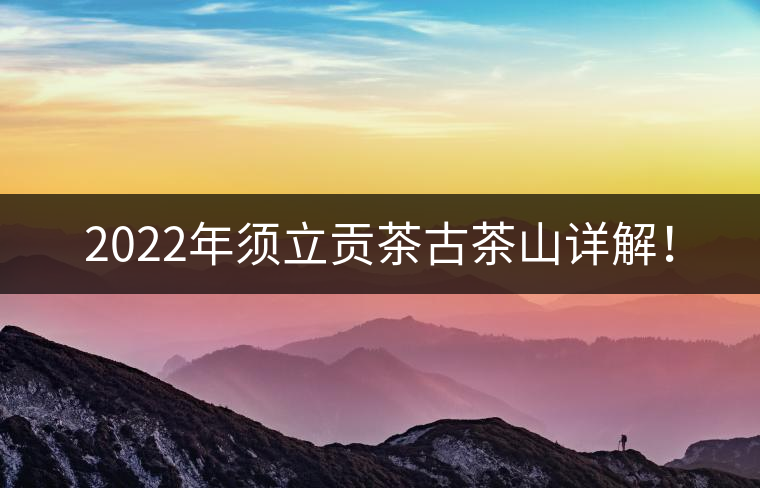 2022年須立貢茶古茶山詳解！