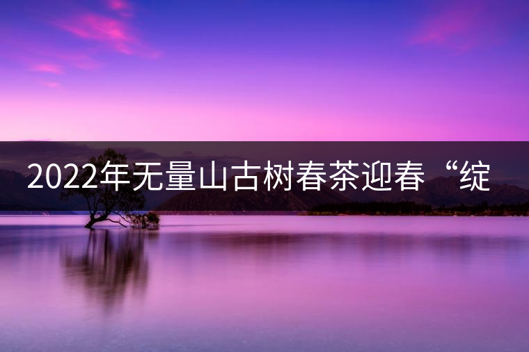 2022年無量山古樹春茶迎春“綻放”！