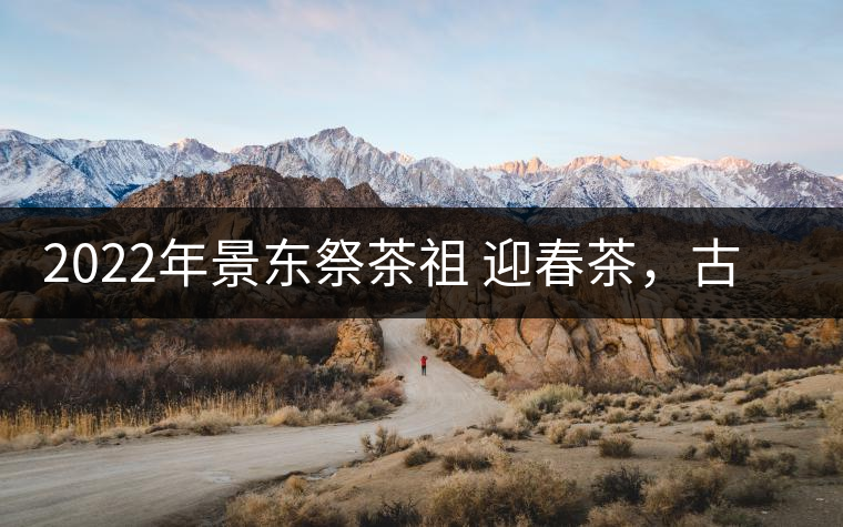 2022年景東祭茶祖 迎春茶，古樹春茶多少錢一公斤？