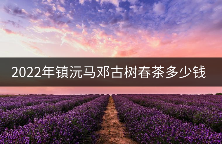 2022年鎮(zhèn)沅馬鄧古樹(shù)春茶多少錢一公斤？