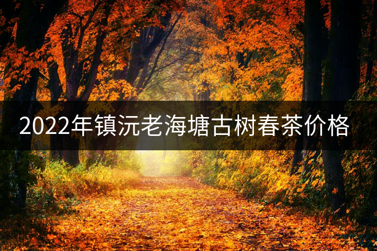 2022年鎮(zhèn)沅老海塘古樹春茶價(jià)格？