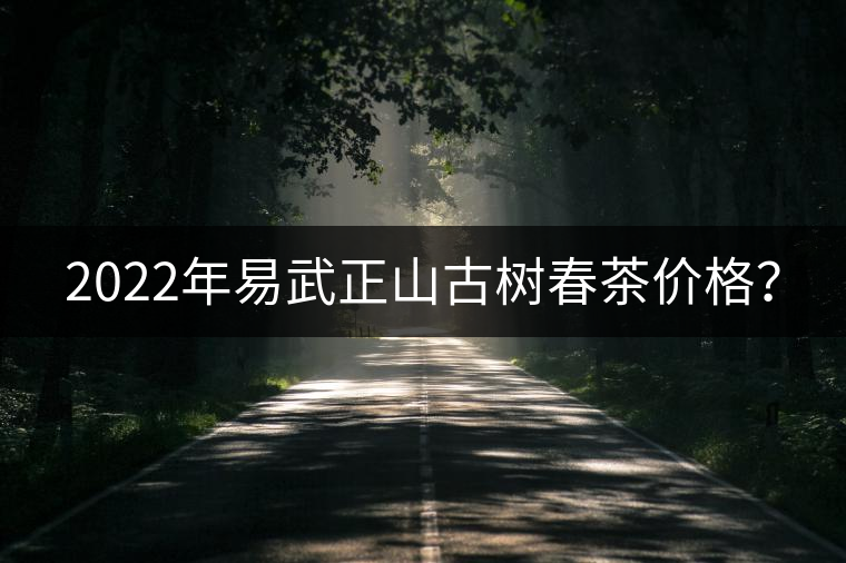 2022年易武正山古樹春茶價格？