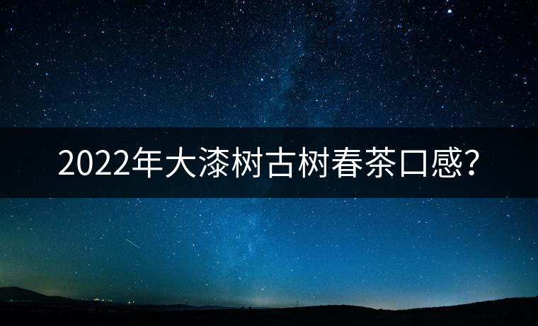 2022年大漆樹古樹春茶口感？