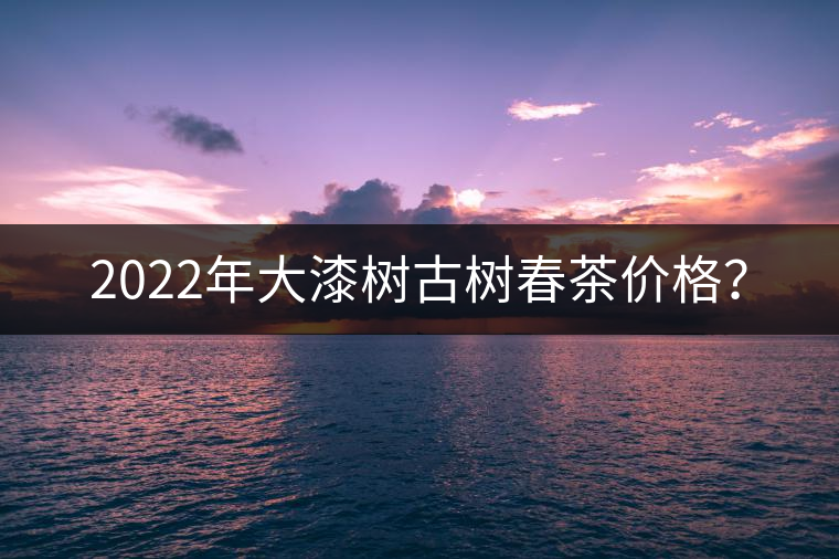 2022年大漆樹古樹春茶價格？
