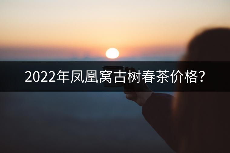 2022年鳳凰窩古樹春茶價(jià)格？