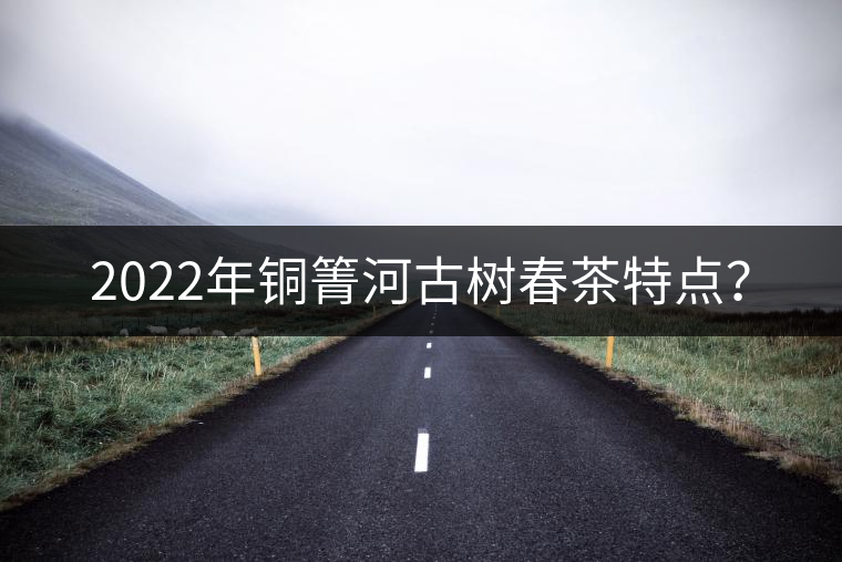 2022年銅箐河古樹春茶特點(diǎn)？