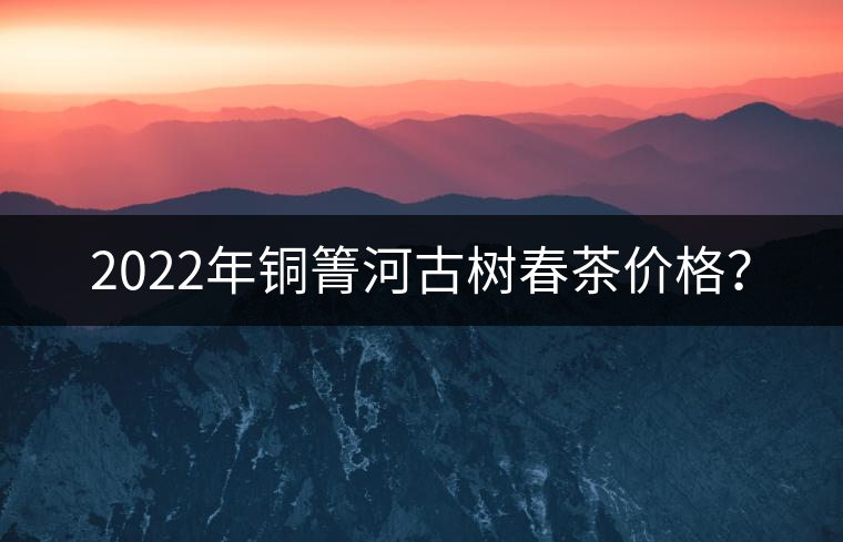 2022年銅箐河古樹春茶價(jià)格？