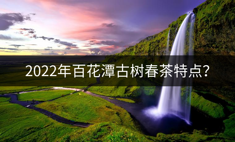 2022年百花潭古樹春茶特點？