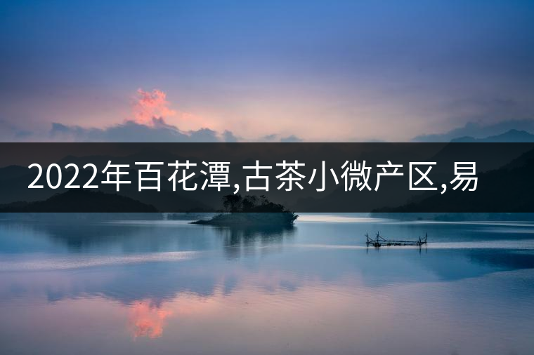 2022年百花潭,古茶小微產(chǎn)區(qū),易武崛起的山寨!