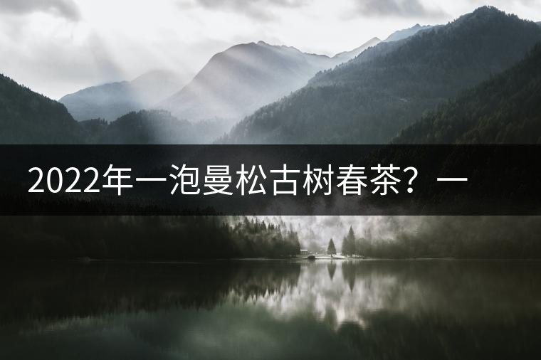 2022年一泡曼松古樹春茶？一飲帝王味……