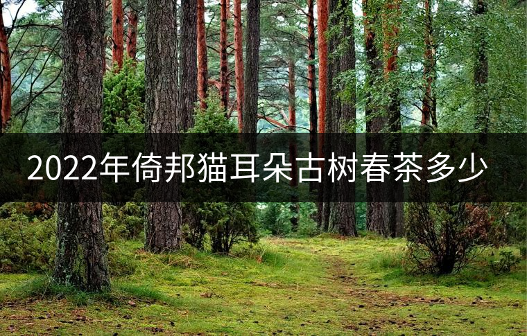 2022年倚邦貓耳朵古樹春茶多少錢一公斤？