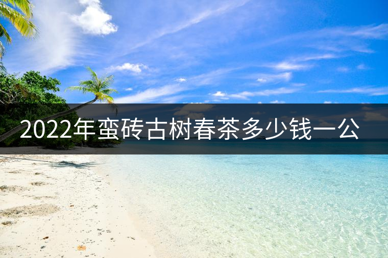 2022年蠻磚古樹春茶多少錢一公斤？