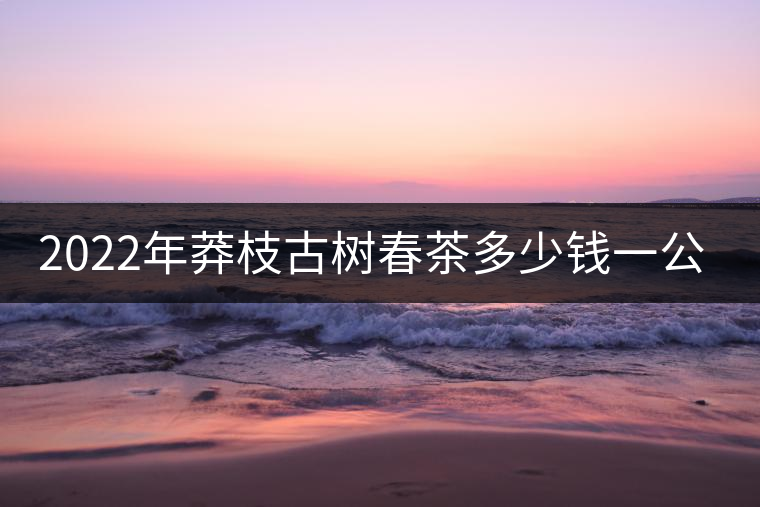 2022年莽枝古樹春茶多少錢一公斤? 2022年莽枝古樹春茶多少錢一公斤?