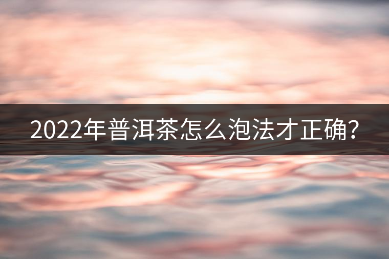 2022年普洱茶怎么泡法才正確？