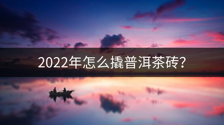 2022年怎么撬普洱茶磚？