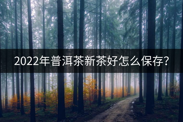 2022年普洱茶新茶好怎么保存？