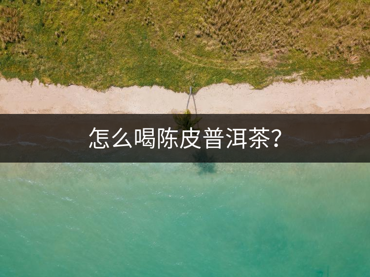怎么喝陳皮普洱茶？