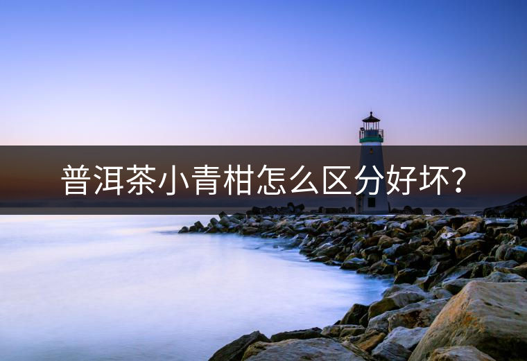 普洱茶小青柑怎么區(qū)分好壞？