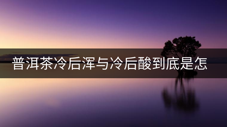 普洱茶冷后渾與冷后酸到底是怎么回事？