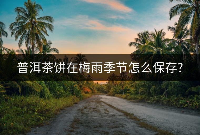 普洱茶餅在梅雨季節(jié)怎么保存? 普洱茶餅在梅雨季節(jié)怎么保存?