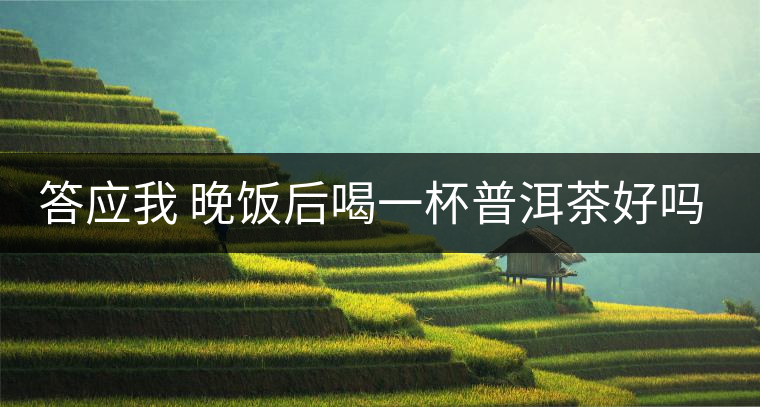 答應(yīng)我 晚飯后喝一杯普洱茶好嗎？