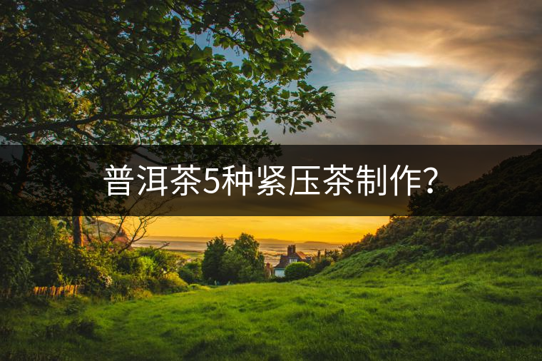 普洱茶5種緊壓茶制作？