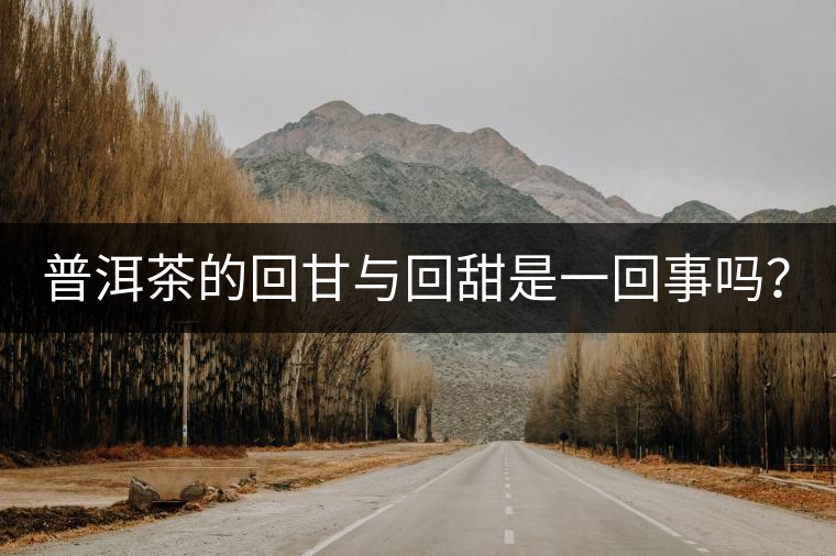 普洱茶的回甘與回甜是一回事嗎？？