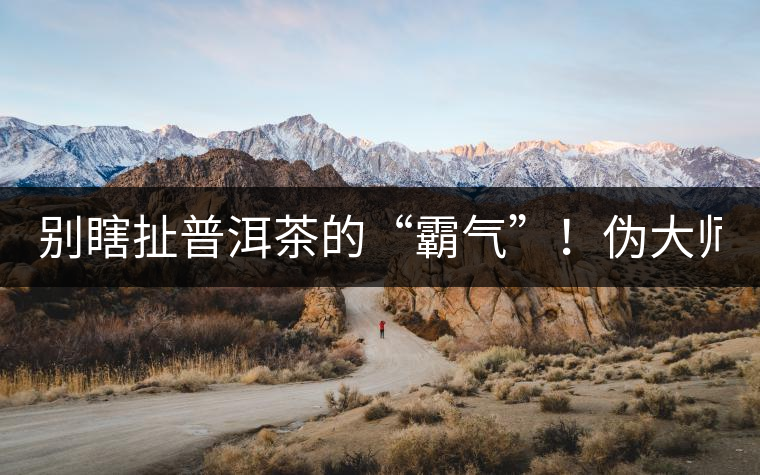 別瞎扯普洱茶的“霸氣”！偽大師！