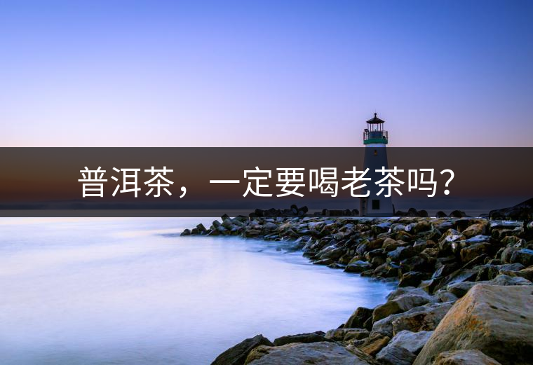 普洱茶，一定要喝老茶嗎？