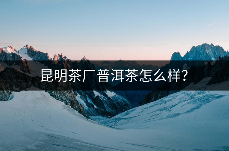 昆明茶廠普洱茶怎么樣？