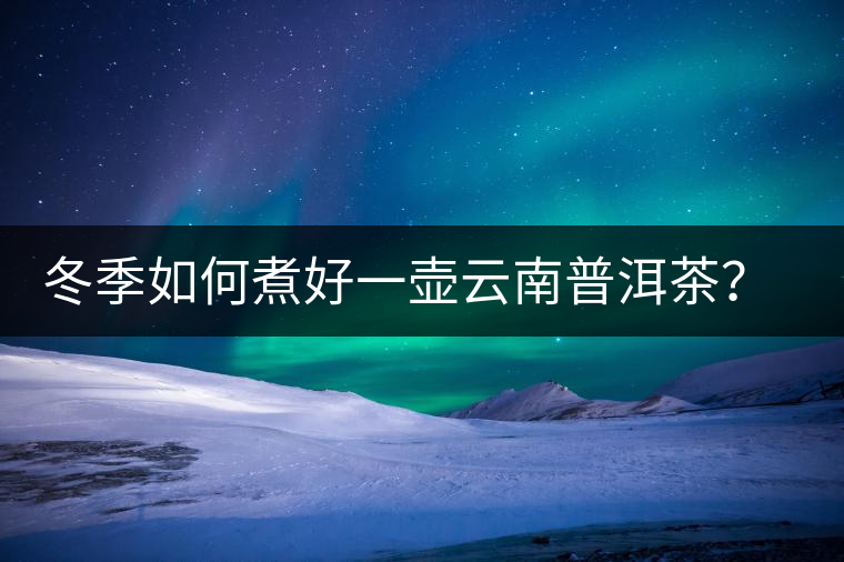 冬季如何煮好一壺云南普洱茶？記好這份煮茶攻略