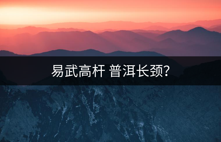 易武高桿 普洱長(zhǎng)頸？