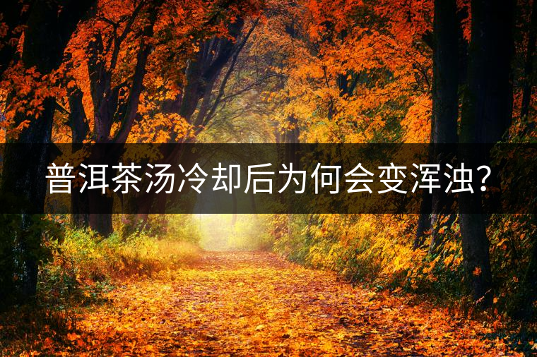 普洱茶湯冷卻后為何會(huì)變渾濁？