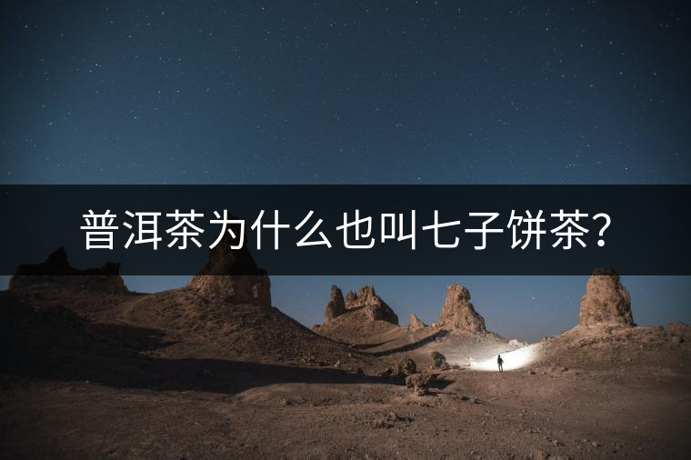 普洱茶為什么也叫七子餅茶？