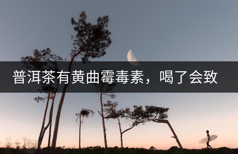 普洱茶有黃曲霉毒素，喝了會致癌？不黑不吹，咱用事實說話