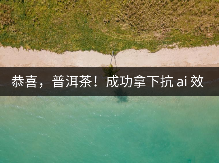 恭喜，普洱茶！成功拿下抗 ai 效果第二名！