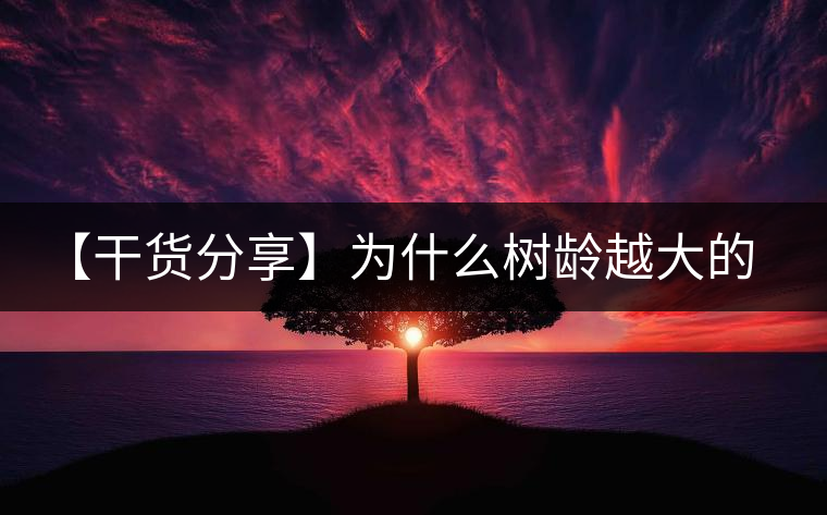 【干貨分享】為什么樹齡越大的普洱生茶，苦味越容易化掉？