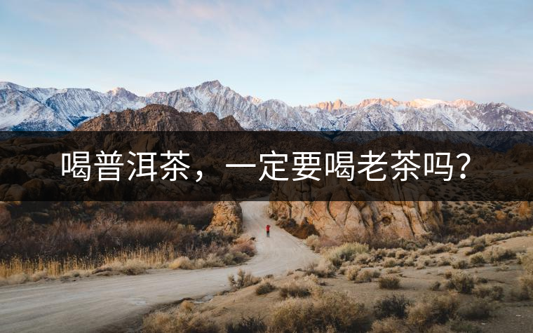 喝普洱茶，一定要喝老茶嗎？