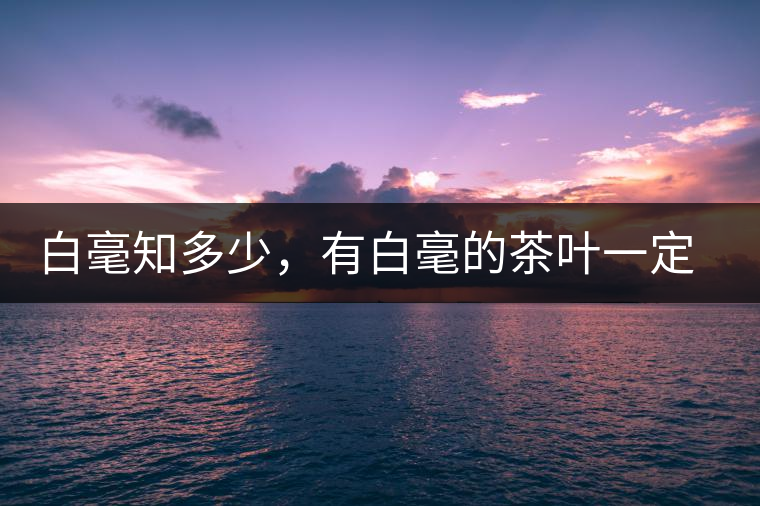 白毫知多少，有白毫的茶葉一定好嗎？