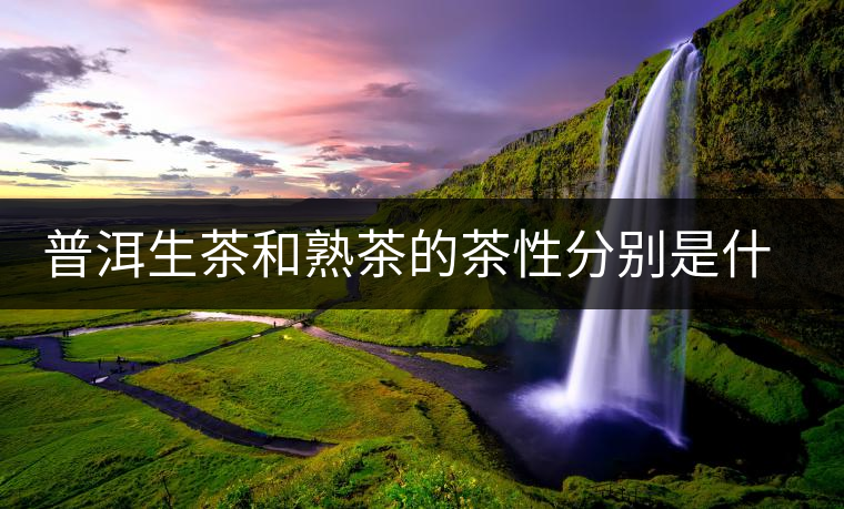 普洱生茶和熟茶的茶性分別是什么？涼性還是熱性？