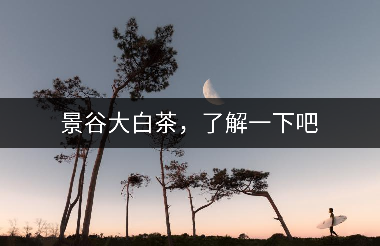 景谷大白茶，了解一下吧