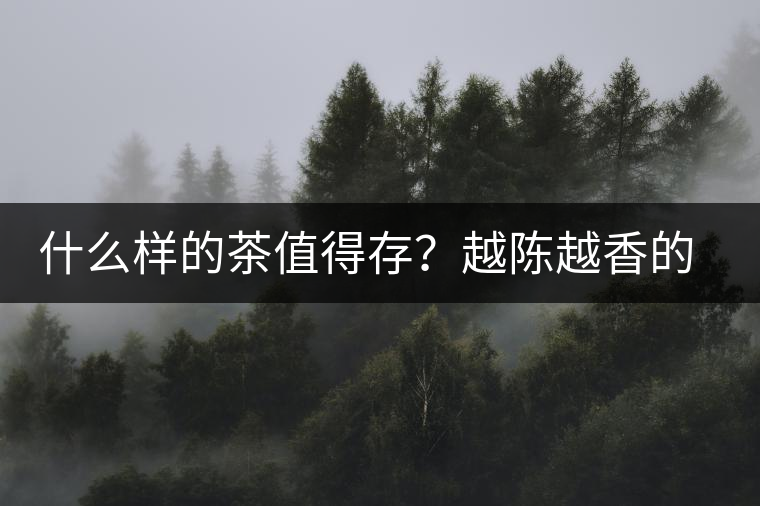 什么樣的茶值得存？越陳越香的本質(zhì)是什么？