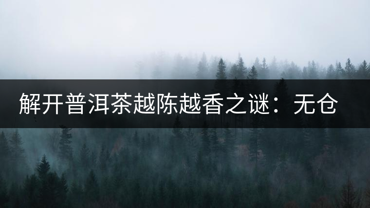 解開普洱茶越陳越香之謎：無倉(cāng)不成普洱